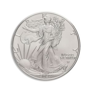 2024-W Burnished Silver Eagle with Box & COA