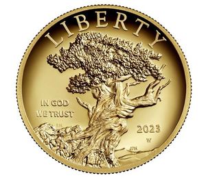 2023-W 1 Oz American Liberty High Relief Gold Coin - BU (with Box and COA)