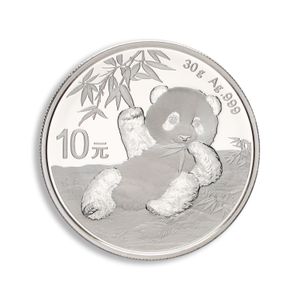 2020 30 Gram China Silver Panda - BU