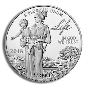 2018-W 1 Oz Proof Platinum American Eagle $100 (Cap Only, No Box and COA)