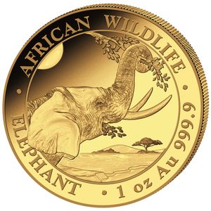 1 oz Gold Somalia African Wildlife Elephant Coin (Year Varies)