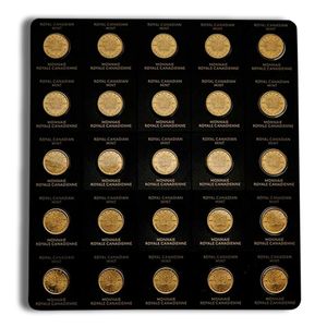 25 x 1 Gram Gold Canadian MapleGram Coins (In Assay Card)